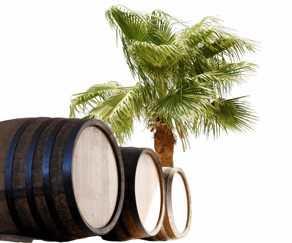 A palm tree stands beside two wooden barrels, creating a tropical outdoor scene.